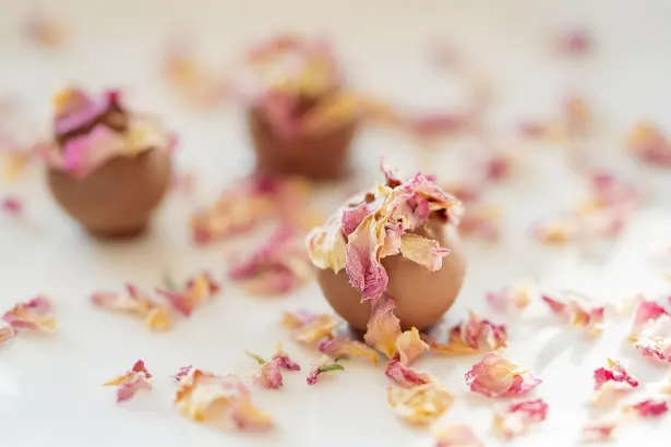 Пеликан Казино Android/iOS приложение